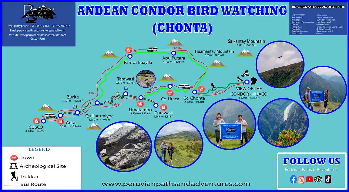 Andean Condor Bird Watching MAP - Peruvian Paths & Adventures