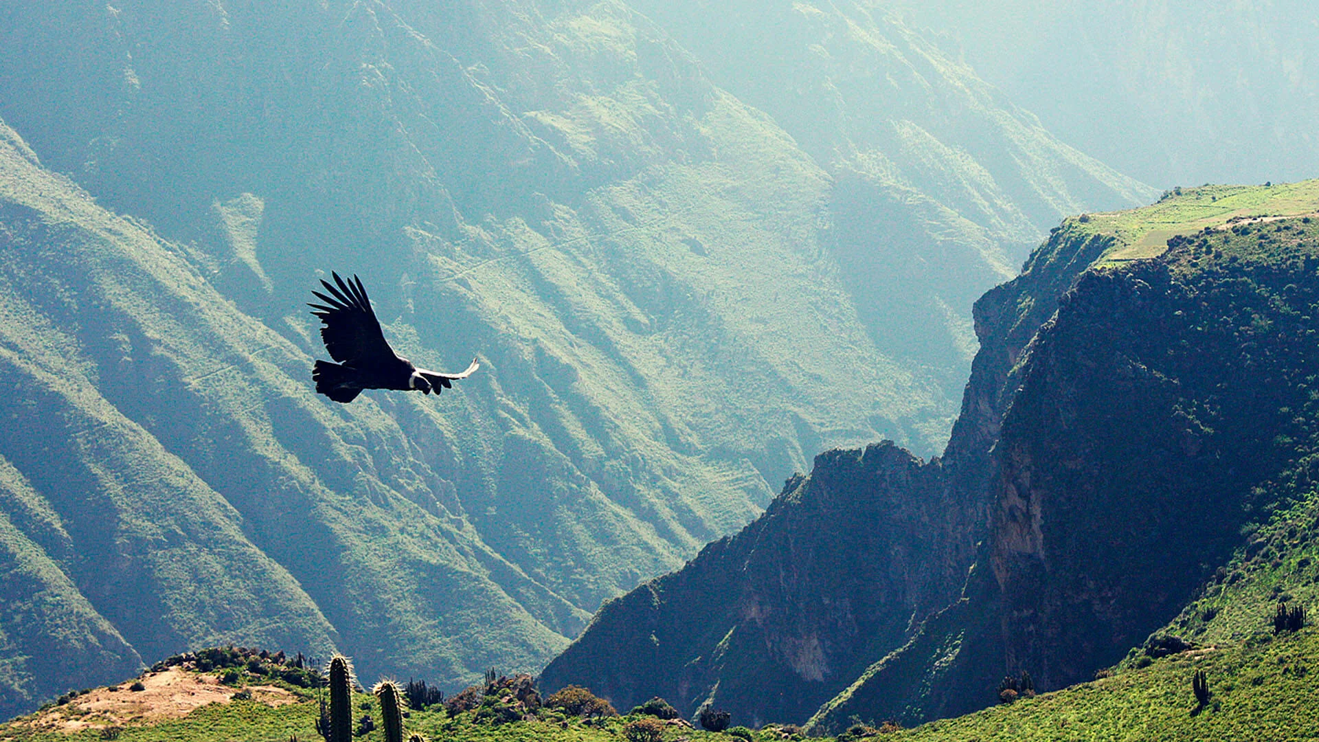 Tour Canon del Colca Full Day