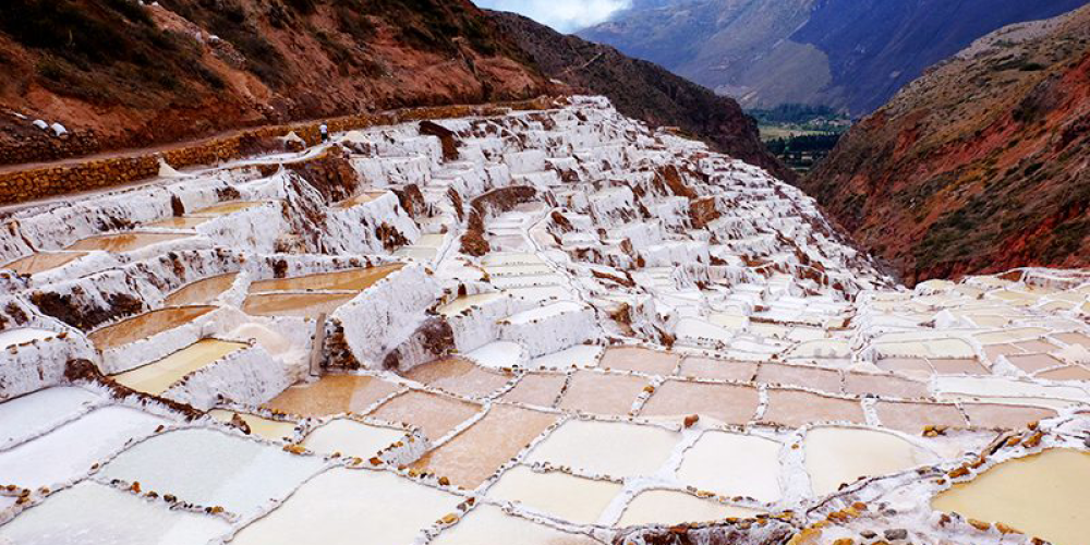 maras
